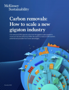Carbon Removals: How to Scale a New Gigaton Industry
